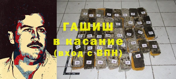 прущие грибы Гусиноозёрск