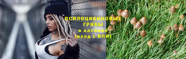 героин Белокуриха