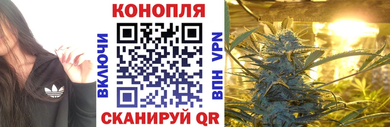 Бошки Шишки ГИДРОПОН Гай